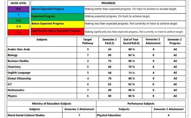 IGCSE progress report — 96% in Mathematics and Physics